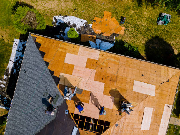 Best Flat Roof Repair Services  in Pleasanton, KS