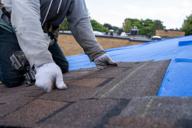 Best Metal Roofing Contractor  in Pleasanton, KS